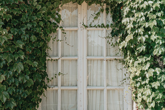 Our Story – Pretty Little Fit